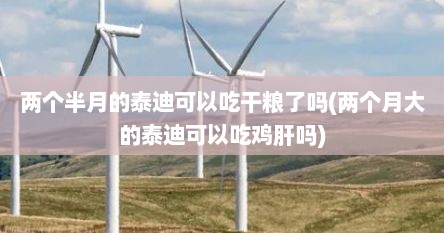 两个半月的泰迪可以吃干粮了吗(两个月大的泰迪可以吃鸡肝吗)