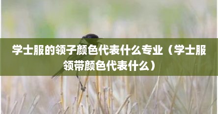 学士服的领子颜色代表什么专业(学士服领带颜色代表什么)