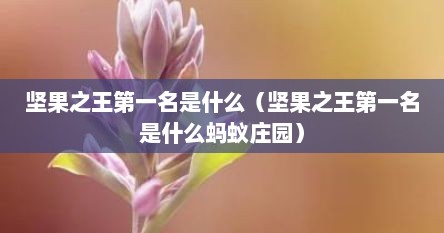 坚果之王第一名是什么（坚果之王第一名是什么蚂蚁庄园）