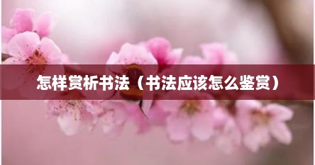 怎样赏析书法（书法应该怎么鉴赏）
