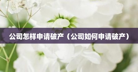 公司怎样申请破产（公司如何申请破产）