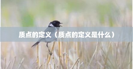 质点的定义（质点的定义是什么）