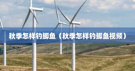 秋季怎样钓鲫鱼（秋季怎样钓鲫鱼视频）