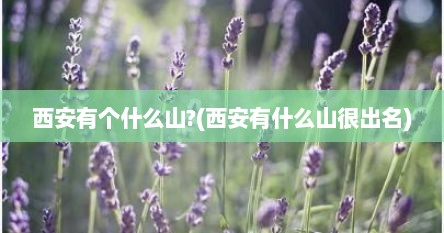 西安有个什么山?(西安有什么山很出名)