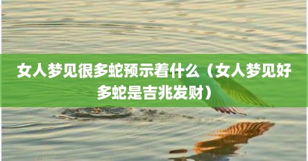 女人梦见很多蛇预示着什么（女人梦见好多蛇是吉兆发财）