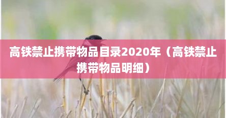 高铁禁止携带物品目录2020年（高铁禁止携带物品明细）