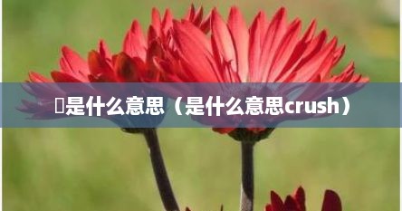 晸是什么意思（是什么意思crush）