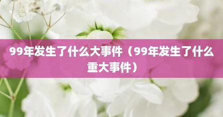 99年发生予什么大事件（99年发生予什么重大事件）