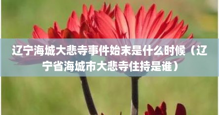 辽宁海城大悲寺事件始末是什么时候（辽宁省海城市大悲寺住持是谁）