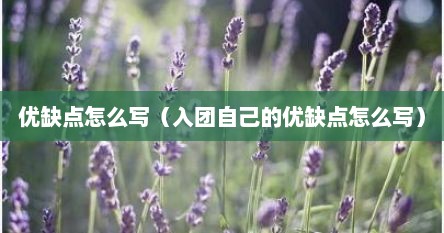 优缺点怎么写（入团自己的优缺点怎么写）