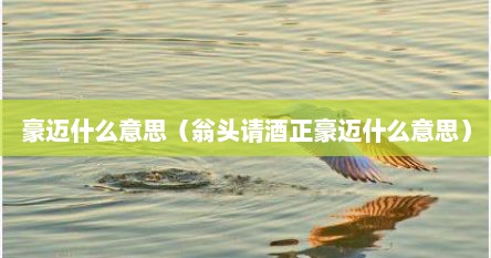豪迈什么意思（翁头请酒正豪迈什么意思）