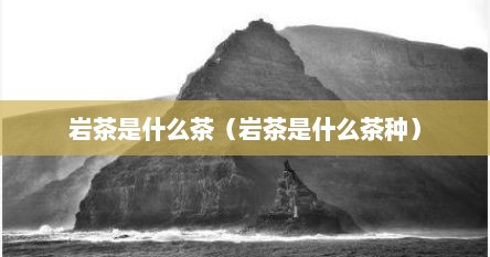 岩茶是什么茶（岩茶是什么茶种）