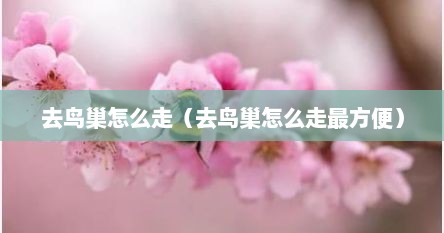去鸟巢怎么走（去鸟巢怎么走最方便）