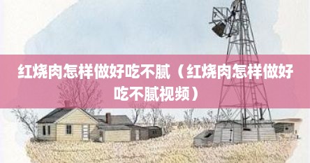 红烧肉怎样做好吃不腻（红烧肉怎样做好吃不腻视频）
