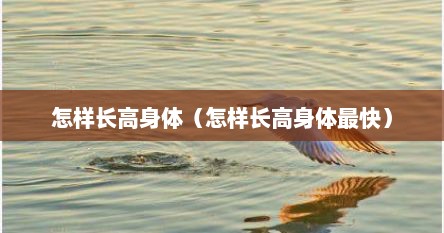 怎么长高身体（怎么样身体长高快）