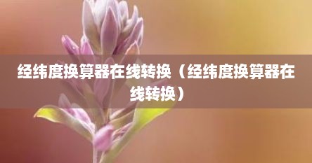 经纬度换算器在线转换（经纬度换算器在线转换）