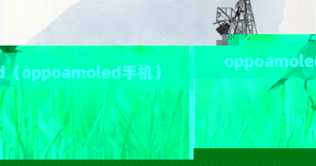 oppo amoled显示效果对比（oppo amoled屏幕材质）