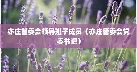 亦庄管委会领导班子成员（亦庄管委会党委书记）