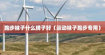 跑步袜子什么牌子好（运动袜子跑步专用）