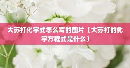 大苏打化学式怎么写的图片（大苏打的化学方程式是什么）