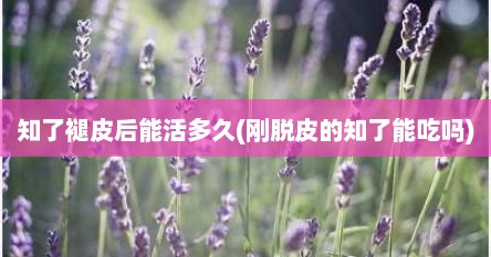 知了褪皮后能活多久(刚脱皮的知了能吃吗)