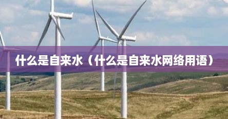 什么是自来水（什么是自来水网络用语）