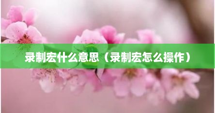 录制宏的作用是什么（录制宏时应该注意哪些问题）