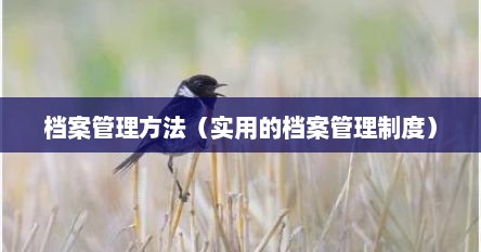 档案 制度（什么是档案管理制度）