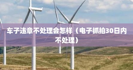 车子违章不处理会怎样（电子抓拍30日内不处理）