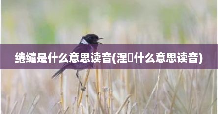 绻缱是什么意思读音(涅槃什么意思读音)