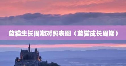 蓝猫生长周期对照表图（蓝猫成长周期）