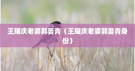 王耀庆老婆郭晏青（王耀庆老婆郭晏青身份）