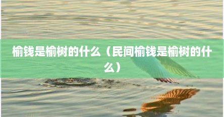 榆钱是榆树的什么（民间榆钱是榆树的什么）