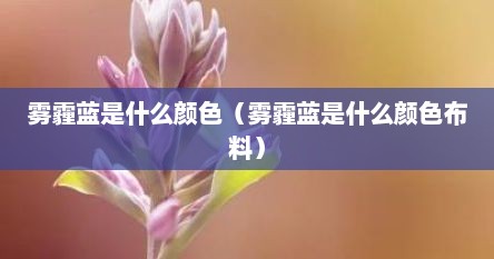 雾霾蓝是什么颜色（雾霾蓝是什么颜色布料）