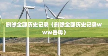 删除全部历史记录（删除全部历史记录www岳母）