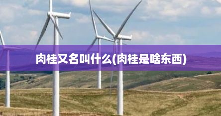 肉桂又名叫什么(肉桂是啥东西)
