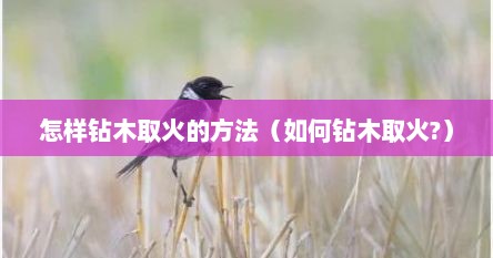 怎样钻木取火的方法（如何钻木取火?）
