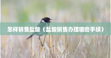盐酸出售需要证书吗（销售盐酸多少能判刑）