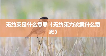 无约束是什么意思（无约束力议案什么意思）