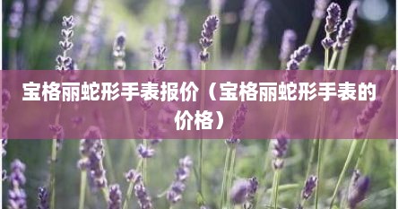 宝格丽蛇形手表报价（宝格丽蛇形手表的价格）