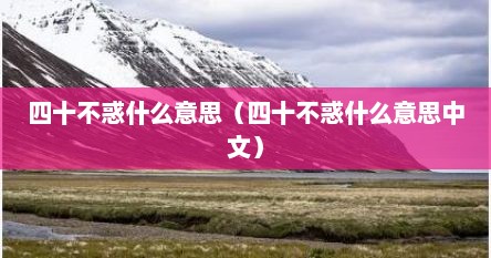四十不惑什么意思（四十不惑什么意思中文）