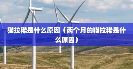 猫拉稀是什么原因（两个月的猫拉稀是什么原因）