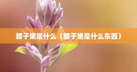 螺子黛是什么（螺子黛是什么东西）