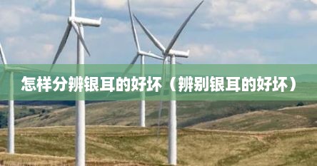 怎样分辨银耳的好坏（辨别银耳的好坏）