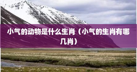 小气的动物是什么生肖（小气的生肖有哪几肖）