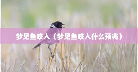 梦见鱼咬人（梦见鱼咬人什么预兆）