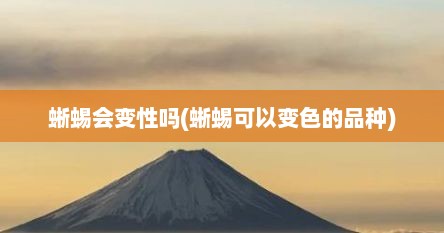 蜥蜴会变性吗(蜥蜴可以变色的品种)