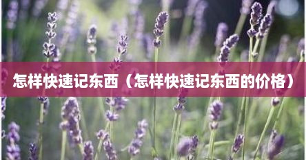 怎样快速记东西（怎样快速记东西的价格）