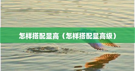 怎样搭配显高（怎样搭配显高级）