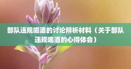 部队违规喝酒的讨论辨析材料(关于部队违规喝酒的心得体会)
